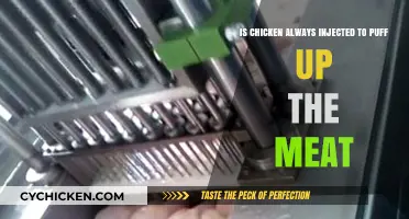The Truth About Chicken: Are Injections Used to Plump Meat?
