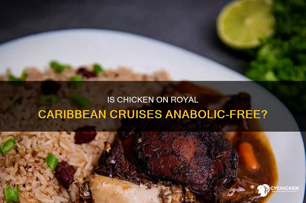 is chicken anabolic free on royal caribbean cruise