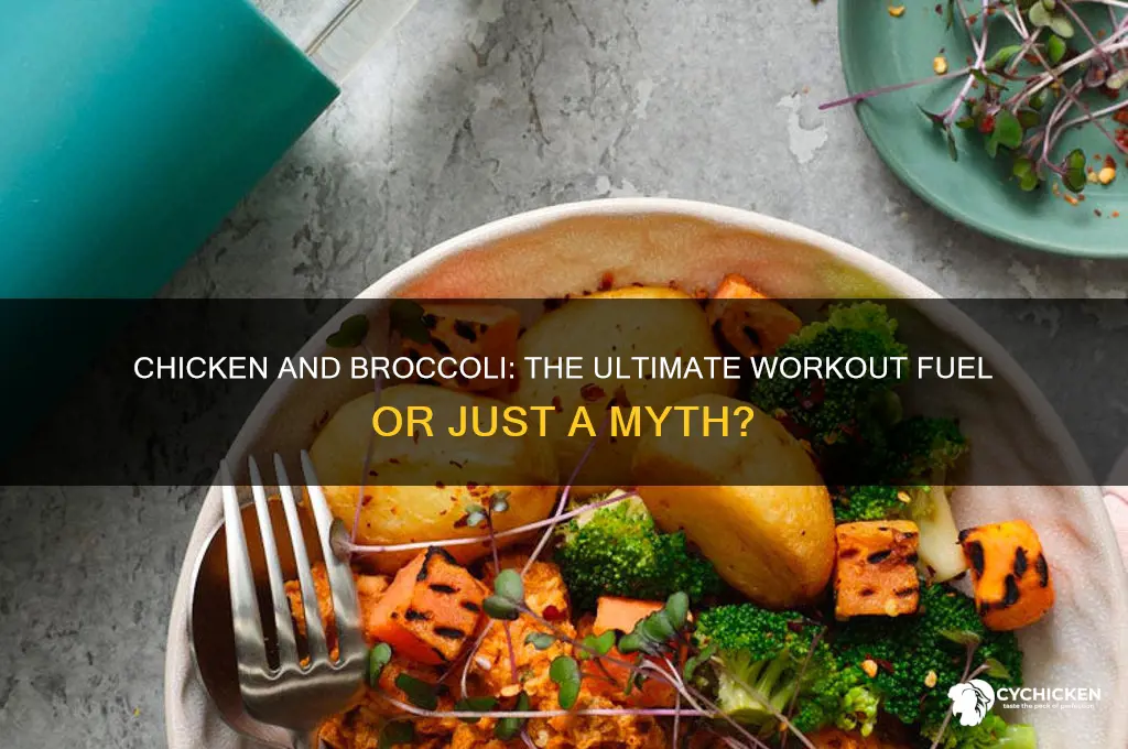 is chicken and broccoli food when working out