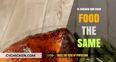 Chicken vs. Duck Food: Are Their Diets Really the Same?