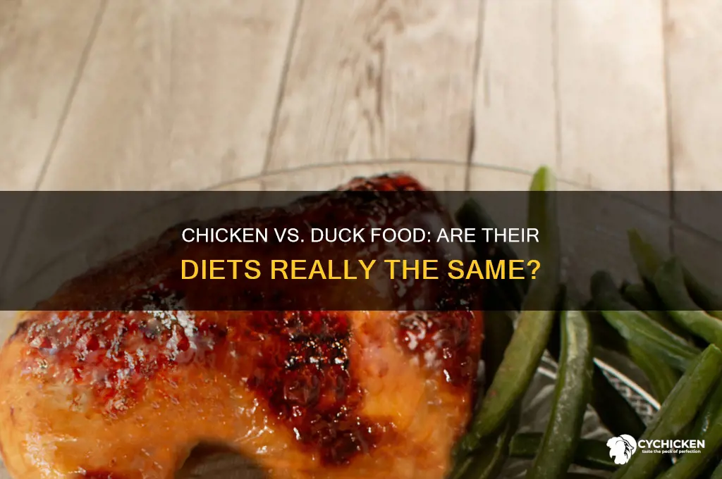 is chicken and duck food the same