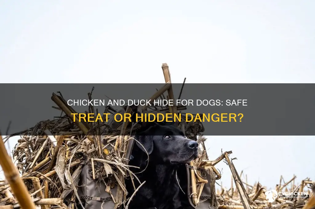 is chicken and duck hide safe for dogs