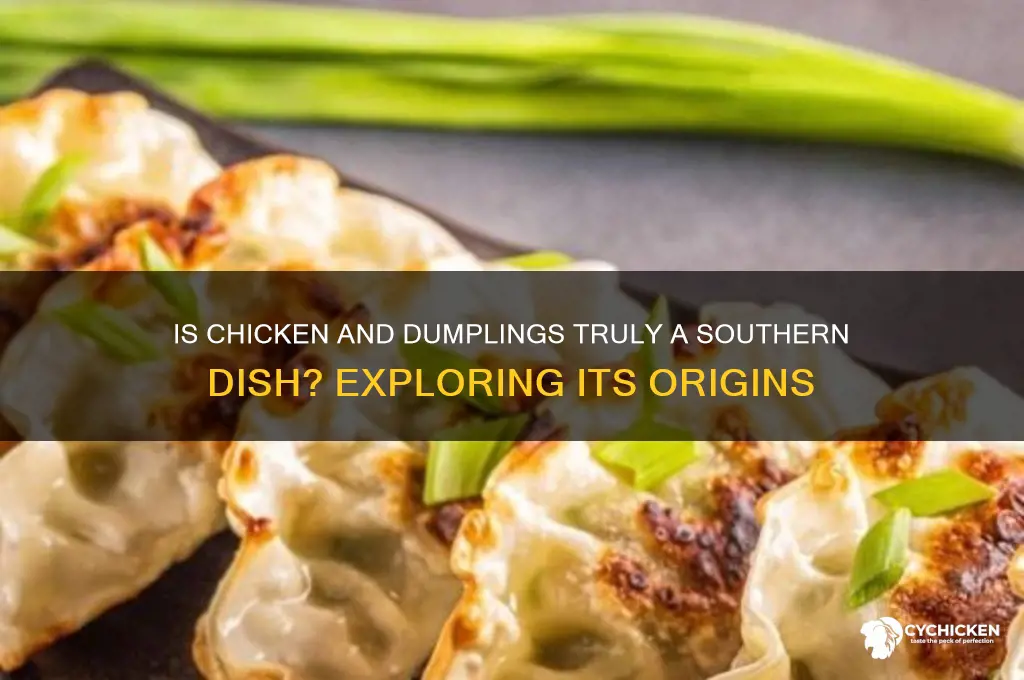 is chicken and dumplings a southern dish