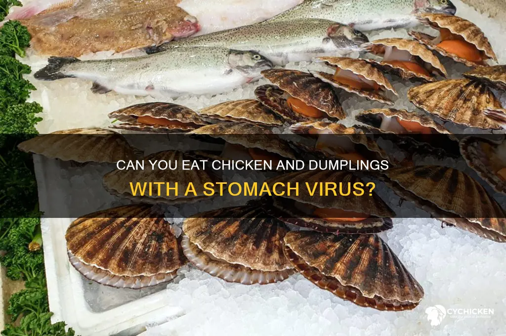 is chicken and dumplings ok for stomach virus