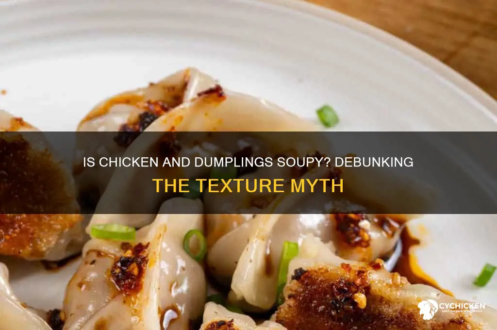 is chicken and dumplings supposed to be soupy