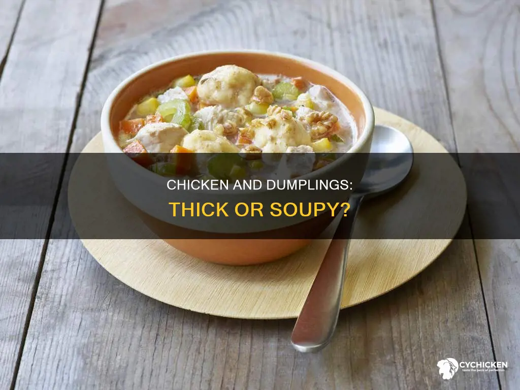 is chicken and dumplings supposed to be thick or soupy