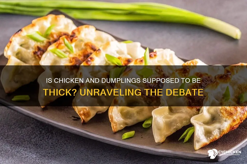 is chicken and dumplings supposed to be thick