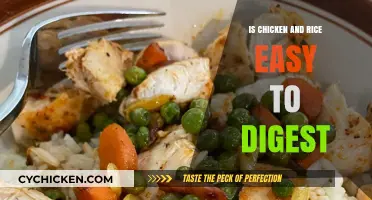 Chicken and Rice Digestibility: A Simple, Gentle Meal for Your Stomach
