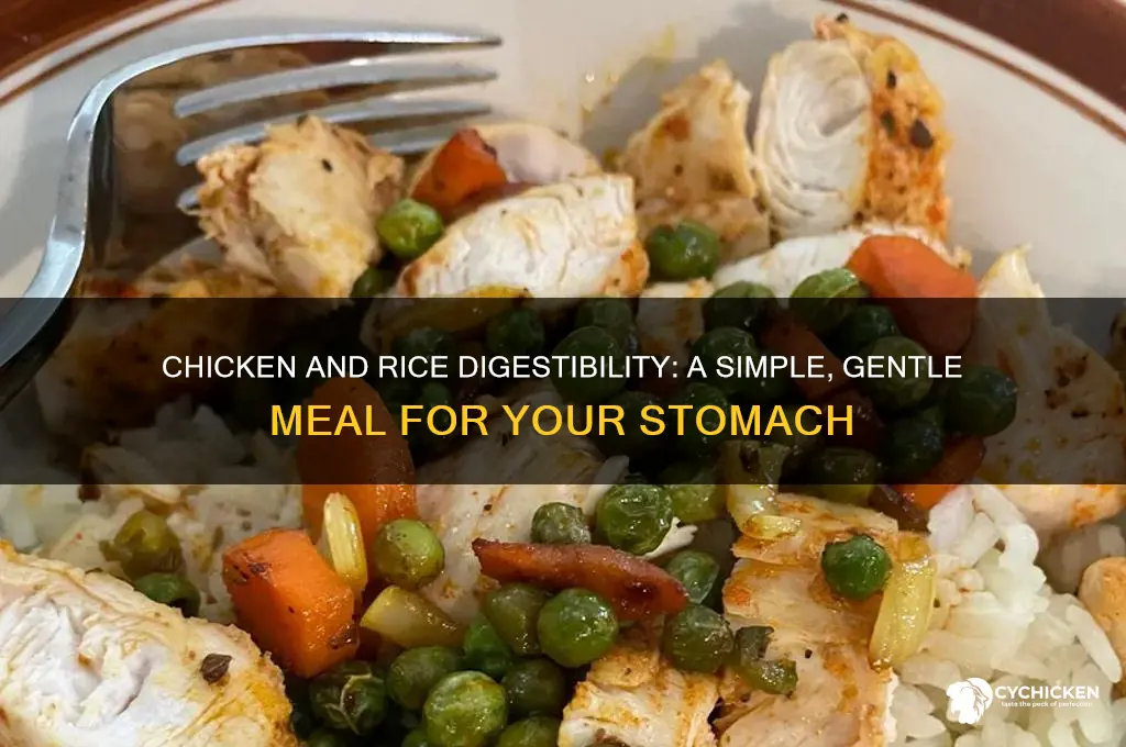 is chicken and rice easy to digest