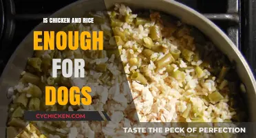 Can Dogs Thrive on Chicken and Rice Alone? Expert Insights