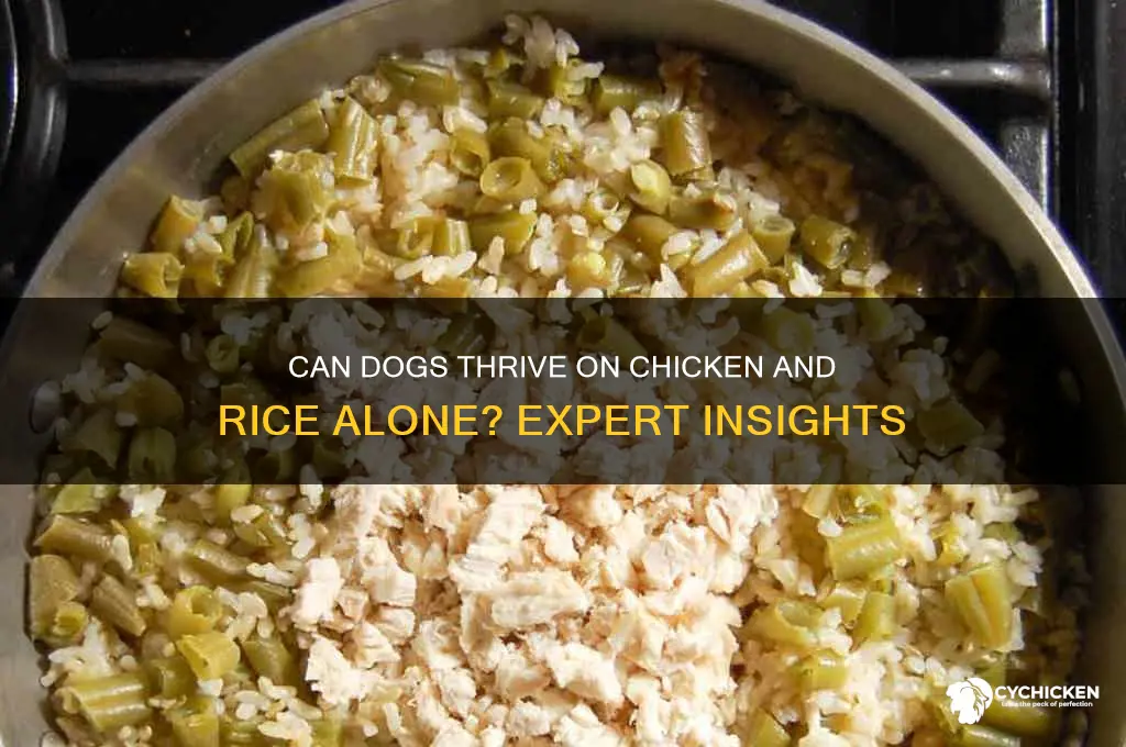 is chicken and rice enough for dogs