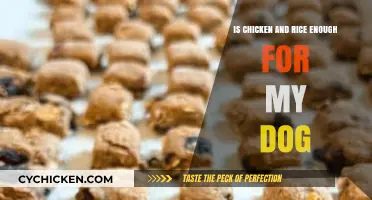 Chicken and Rice for Dogs: A Balanced Diet or Not Enough?