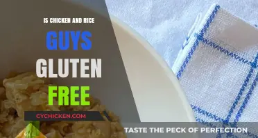 Is Chicken and Rice Guys Gluten-Free? A Complete Guide