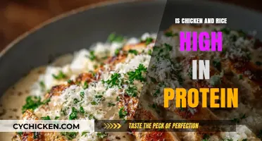 Is Chicken and Rice a High-Protein Meal? Nutrition Breakdown