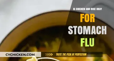 Can Chicken and Rice Soothe Stomach Flu Symptoms? Expert Insights