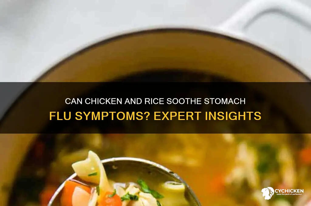is chicken and rice okay for stomach flu