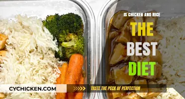 Chicken and Rice Diet: Healthy Choice or Overhyped Trend?