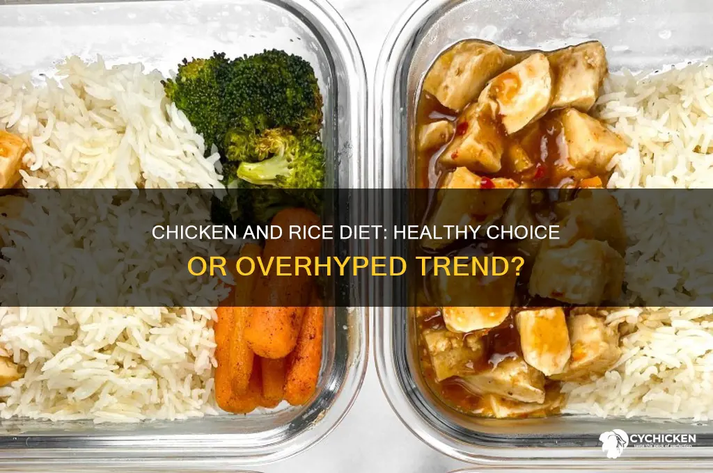is chicken and rice the best diet