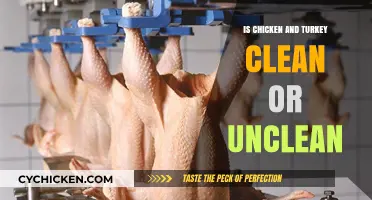 Chicken and Turkey: Clean or Unclean? Biblical and Health Insights