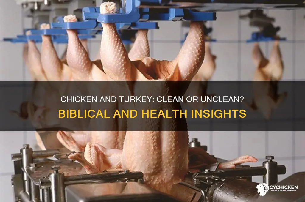 is chicken and turkey clean or unclean