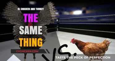 Chicken vs. Turkey: Unraveling the Differences Between These Poultry Birds
