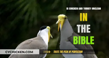 Biblical Insights: Are Chicken and Turkey Considered Unclean?
