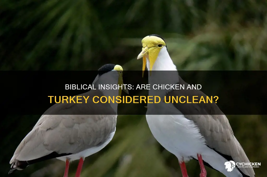 is chicken and turkey unclean in the bible