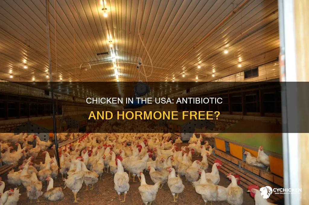 is chicken antibiotic and hormone free in the usa