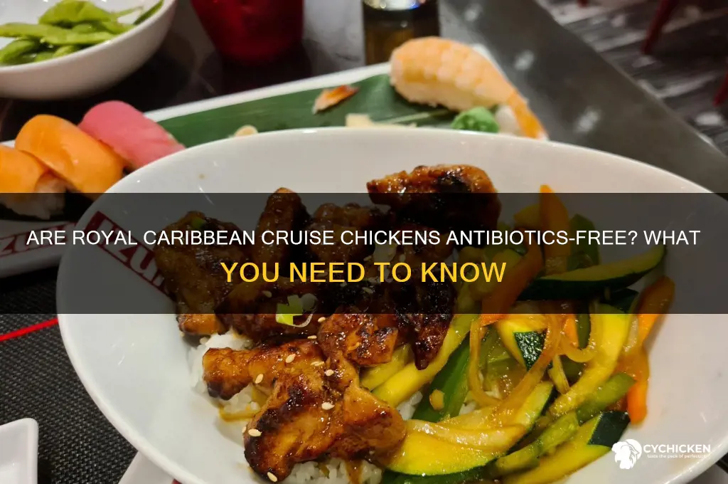 is chicken antibiotics free on royal caribbean cruise