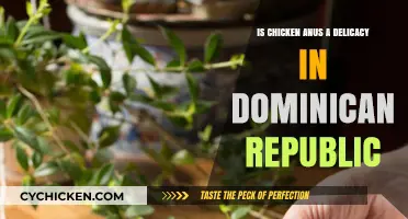 Exploring the Dominican Republic's Unique Culinary Delicacy: Chicken Anus