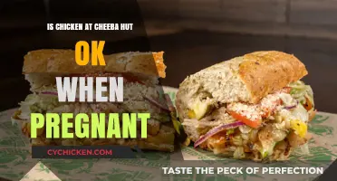Pregnancy and Cheeba Hut Chicken: Safe or Risky Choice?