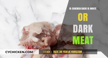 Chicken Back Meat: White or Dark? Unraveling the Poultry Puzzle