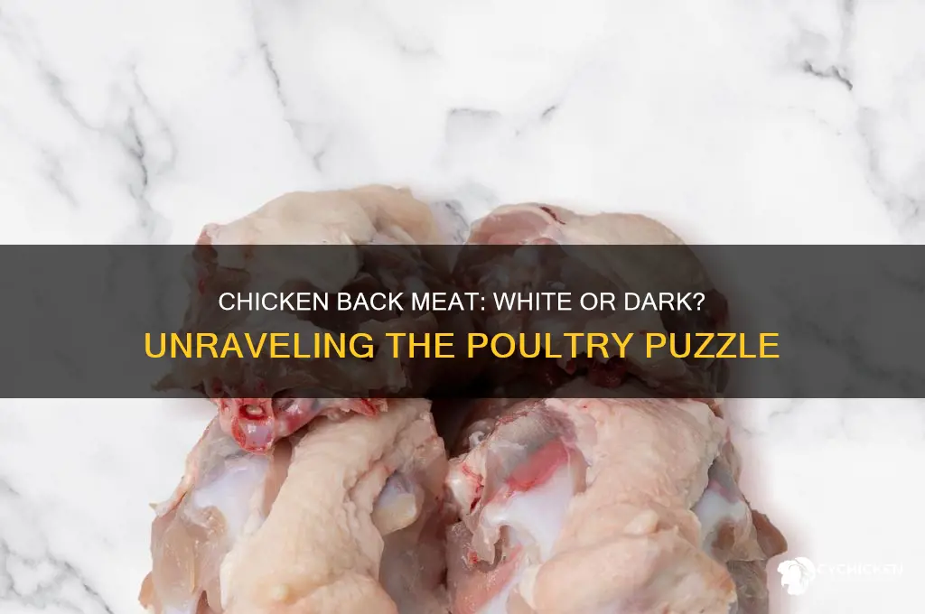 is chicken back is white or dark meat