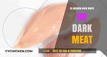 Is Chicken Back White or Dark Meat? Unraveling the Poultry Puzzle