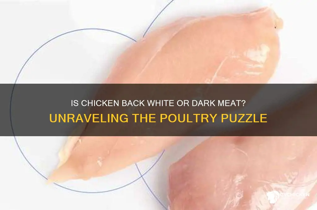 is chicken back white or dark meat