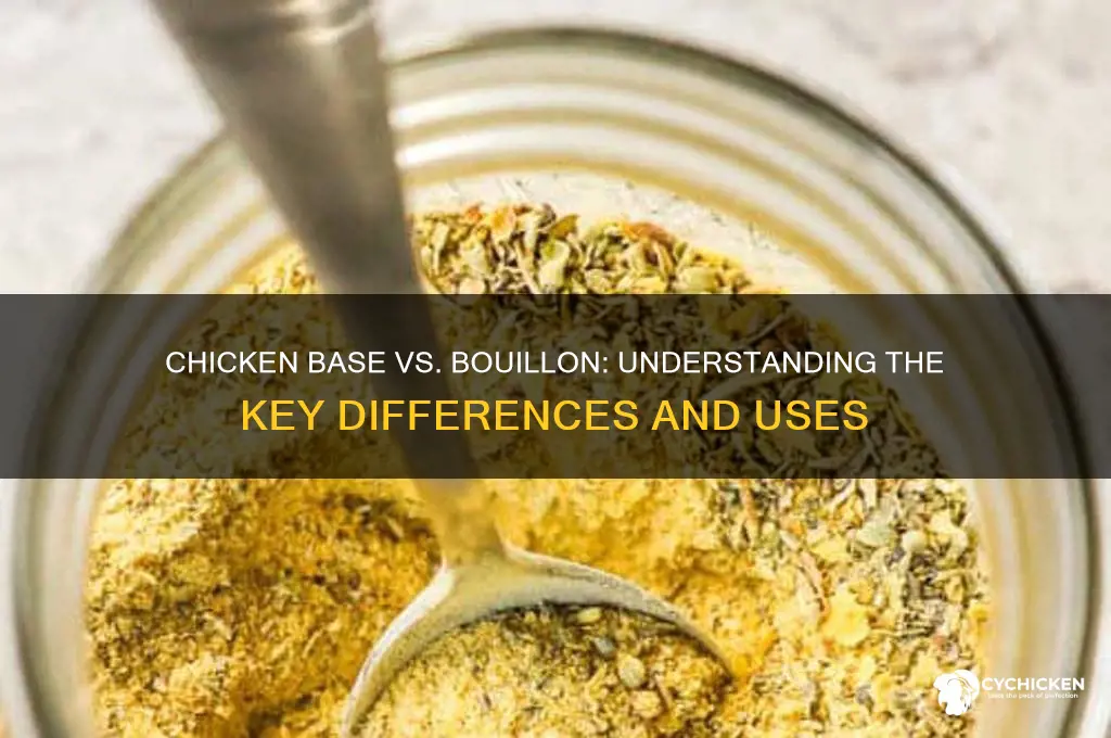 is chicken base the same as bouillon