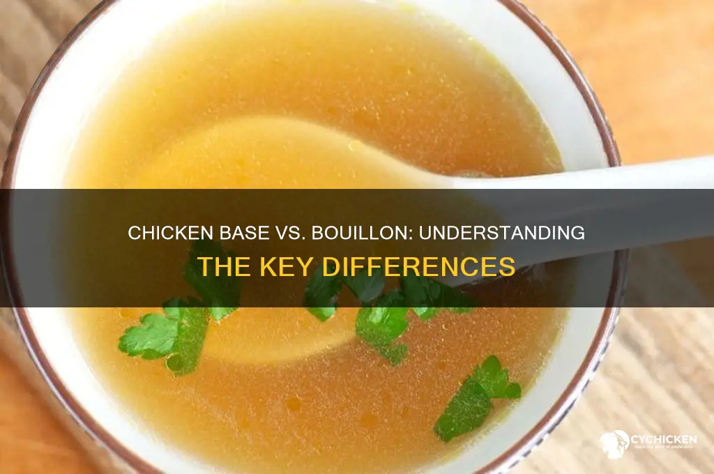 is chicken base the same as chicken bouillon