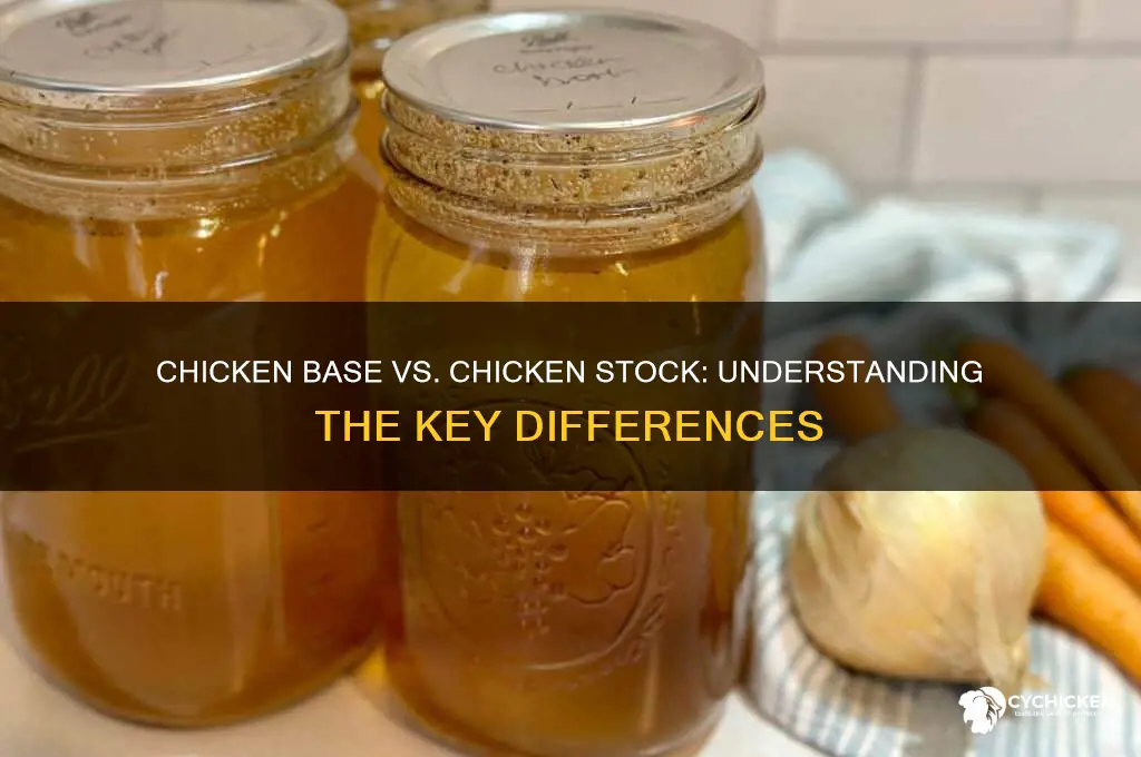 is chicken base the same as chicken stock