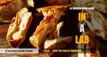 Lab-Grown Chicken: The Future of Food or Just a Fad?