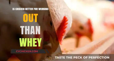 Chicken vs. Whey: Which Protein Boosts Workouts Better?