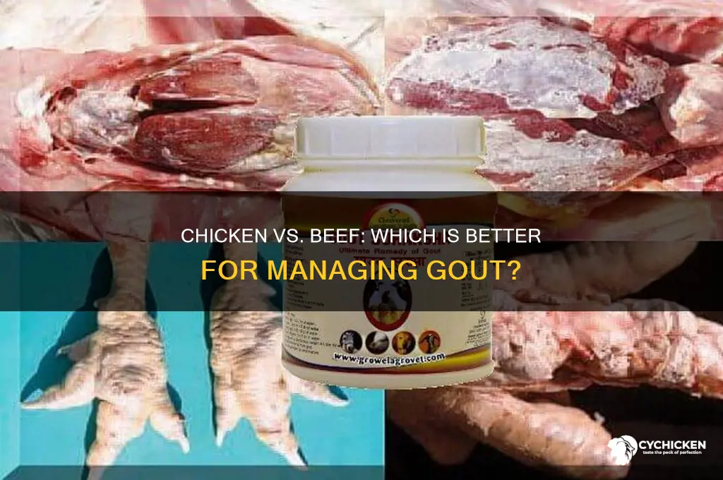 is chicken better than beef for gout