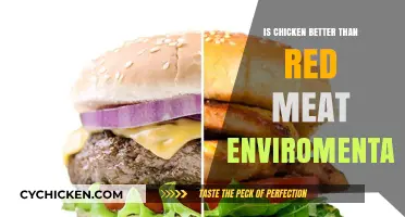 Chicken vs. Red Meat: Which is Greener for the Planet?