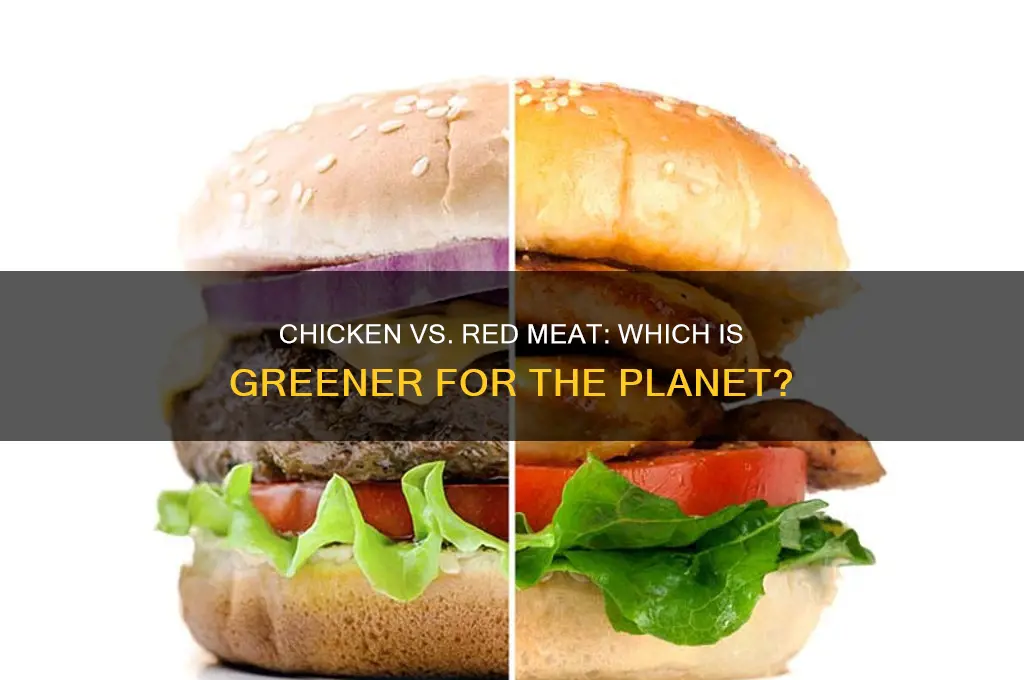 is chicken better than red meat enviromentally