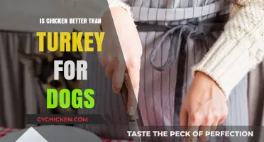 Chicken vs. Turkey: Which Protein is Best for Your Dog?