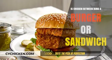 Chicken Between Buns: Burger or Sandwich Debate Explored