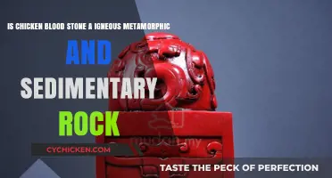 Chicken Blood Stone: A Unique Rock Formation