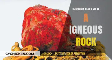 Is Chicken Blood Stone an Igneous Rock? Unveiling Its True Nature