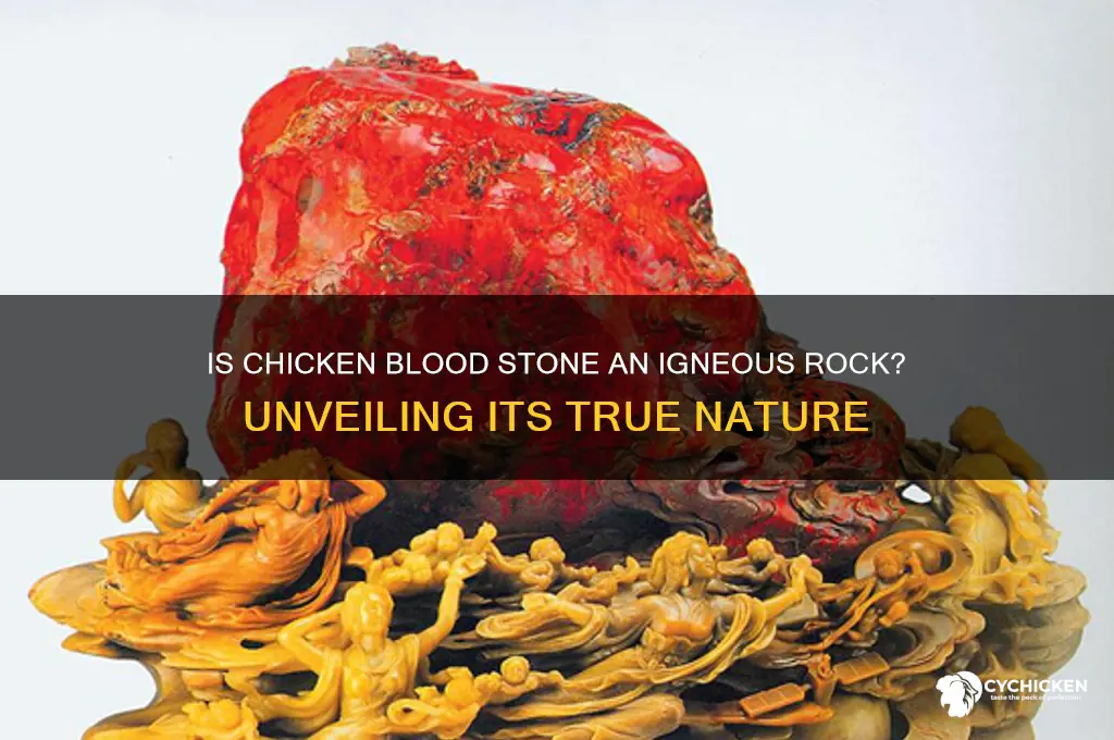 is chicken blood stone a igneous rock
