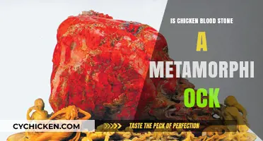 Is Chicken Blood Stone a Metamorphic Rock? Unveiling the Truth