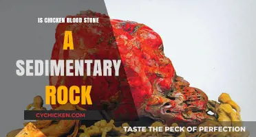 Is Chicken Blood Stone a Sedimentary Rock? Unveiling Its True Nature